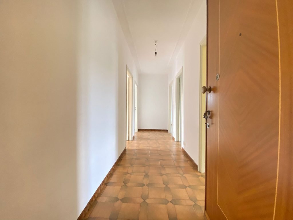 WhatsApp Image 2023-07-04 at 11.00.56