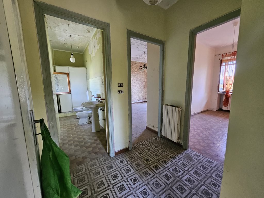 1000108965 – Copia