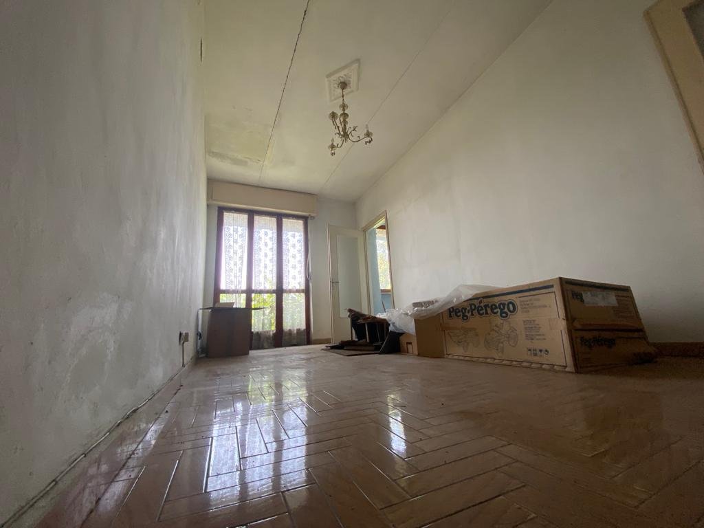 WhatsApp Image 2023-06-06 at 15.39.44