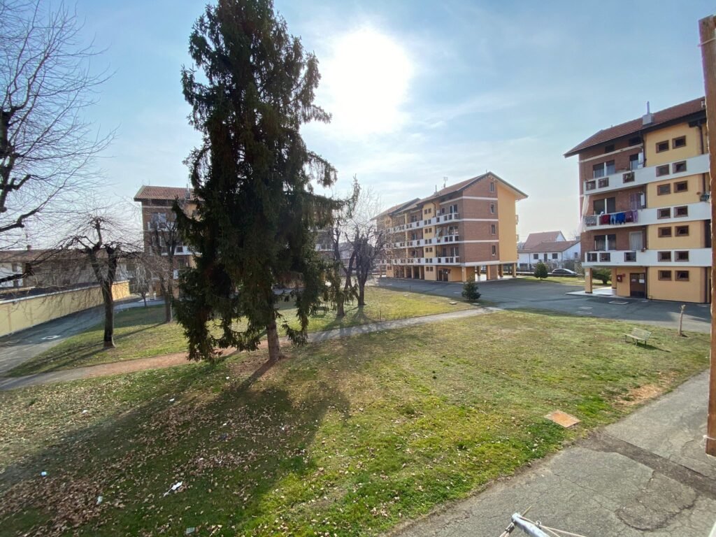 WhatsApp Image 2022-03-11 at 16.22.14