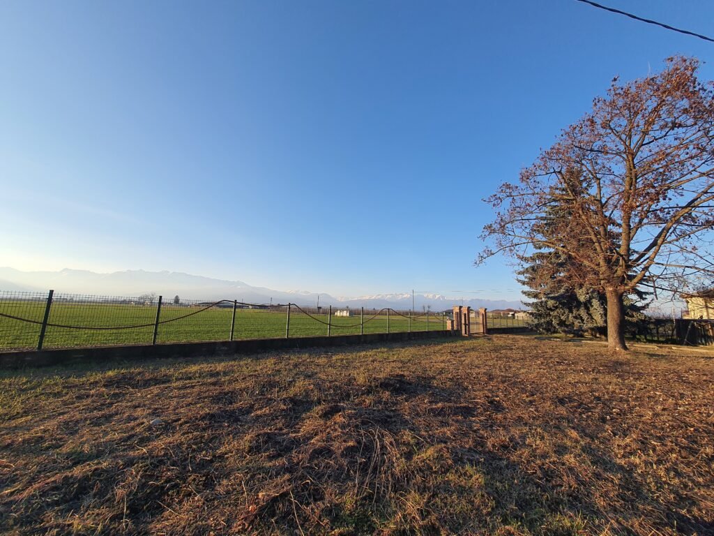 20260126_163138 – Copia – Copia